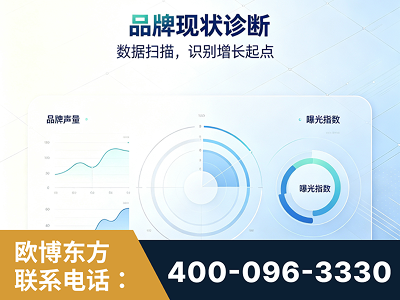 连云港-品牌现状诊断