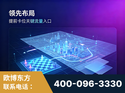 连云港-领先布局：于2024年初开启GEO业务的公司